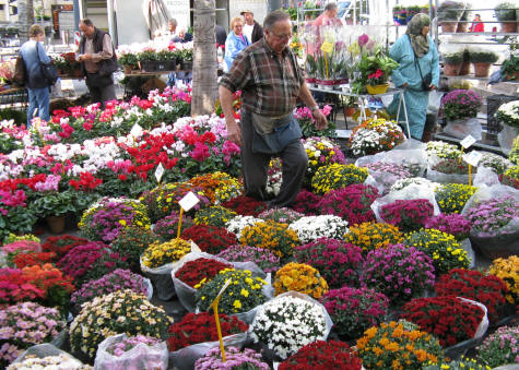 Flower Market in Marseille France - Marche aux Fleurs